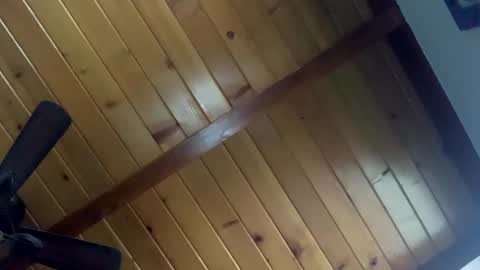 mattsplat66 online show from April 5, 11:56 pm