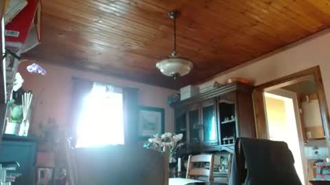 Maurice online show from March 9, 9:03 pm