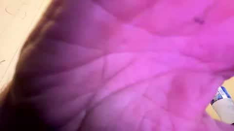 Snapshot of maverick7000 chatting on October 9, 3:11 am maverick7000 online show from October 9, 3:11 am