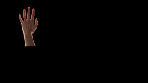 Future Max online show from February 24, 4:26 pm