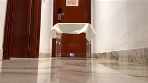 maximo1991 online show from December 14, 6:20 am