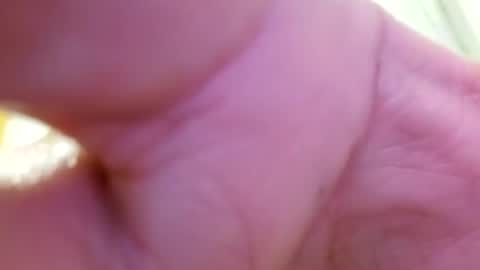 mechot465646 online show from July 29, 10:03 am