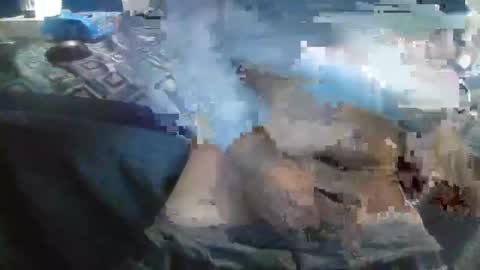 meminpeneguin online show from March 6, 9:20 pm