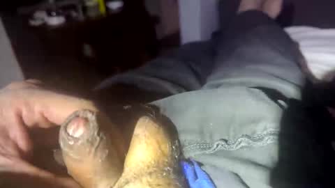 meminpeneguin online show from October 28, 11:23 am