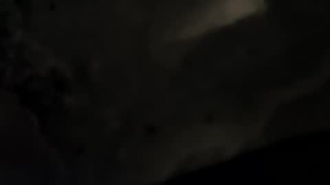 men10_12_1983 online show from January 8, 8:07 pm