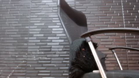 Michael Daviss online show from January 22, 1:11 pm