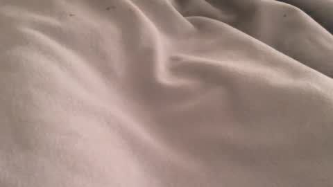 Midnight Rider online show from September 29, 5:20 pm