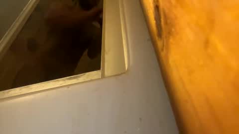 mik393018 online show from September 26, 8:45 am