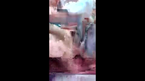 BAMBAM online show from February 2, 9:19 am