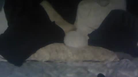 cumstainz online show from August 1, 12:31 am