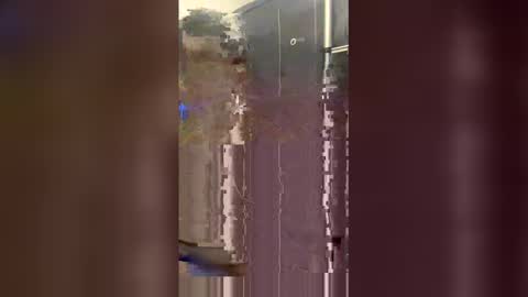 mindsense online show from January 18, 2:57 am