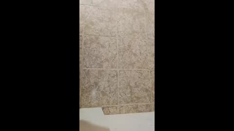 mineiro1514 online show from April 1, 2:35 am