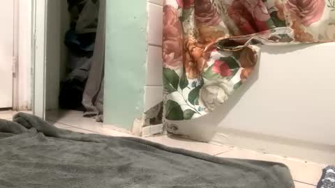 Snapshot of mister_nasty chatting on October 12, 6:24 pm mister_nasty online show from October 12, 6:24 pm