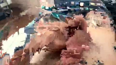 mr Tattoo XXL online show from December 22, 9:06 am