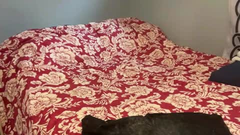 MNTuiLa online show from October 31, 3:15 pm