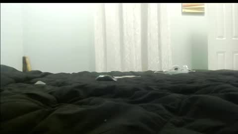 Kingalby817 online show from March 11, 10:18 am