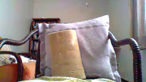 mountfort1967 online show from July 10, 2:53 pm