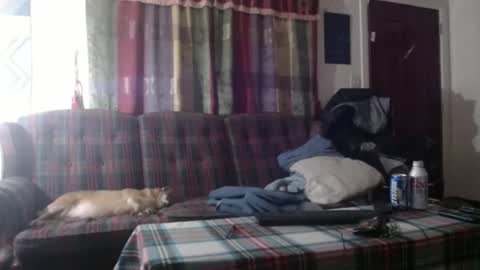 Snapshot of mr_happy12 chatting on October 3, 6:18 am mr_happy12 online show from October 3, 6:18 am