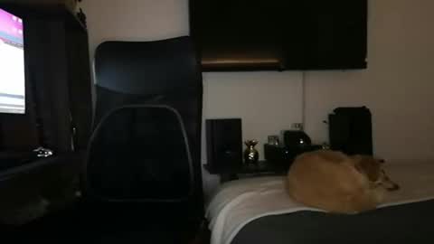 Dannys online show from March 1, 3:10 am