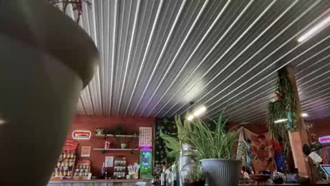 MrFootLong88 online show from December 19, 8:39 pm