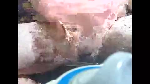 mrralphfurley online show from February 23, 7:47 pm