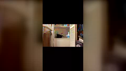 msuebxapqkjy online show from December 21, 1:41 pm