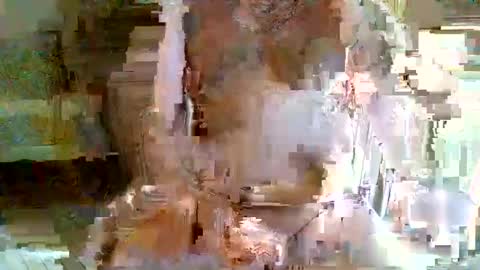 mururoa35 online show from January 14, 12:54 pm