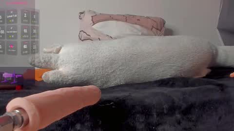 Neil online show from December 4, 10:33 am