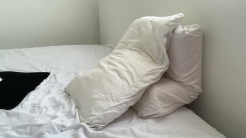 Adrian Von Ziegler online show from September 12, 2:28 pm