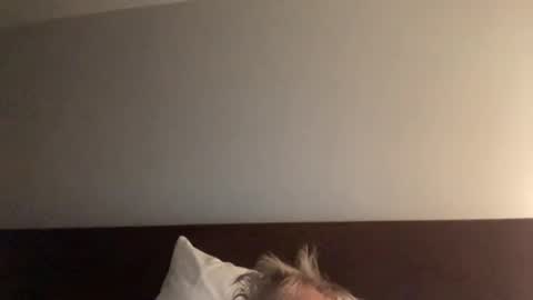 Nice Gentle Naughty online show from December 13, 11:34 am