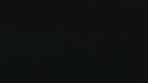 Nick online show from February 8, 11:24 pm