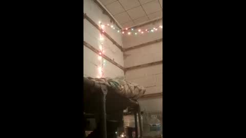 nillapuddin2 online show from January 16, 3:09 am