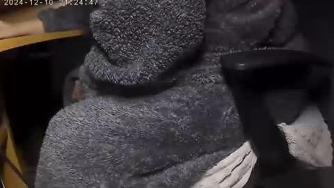 nineinchhard online show from December 9, 8:00 am