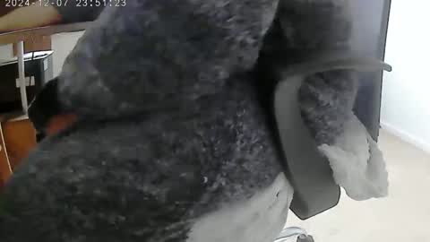 nineinchhard online show from December 6, 10:27 am