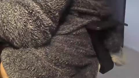 nineinchhard online show from December 5, 9:28 am