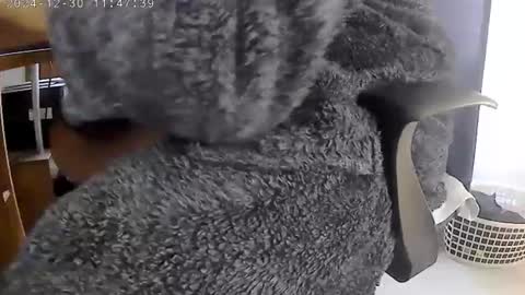 nineinchhard online show from December 30, 11:48 am