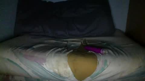 njp360 online show from November 8, 11:24 am