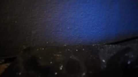 Nocycle000 online show from September 14, 6:54 pm