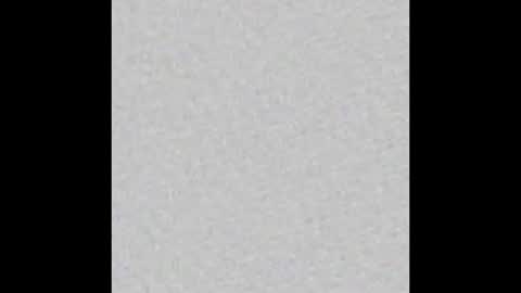 Obsidian stallion online show from November 17, 4:54 pm