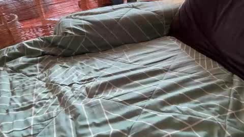 ohyea online show from February 16, 6:28 pm