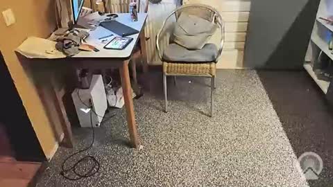 oldersagger online show from November 5, 6:43 pm