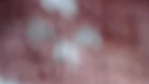 oliver_laid_2023 online show from January 9, 4:06 pm