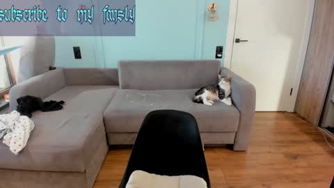 oliverrgroove online show from January 17, 8:02 am