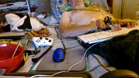 Mattu online show from October 8, 7:35 am