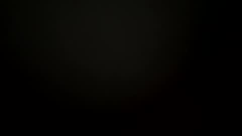 ooiskyfalloo online show from December 10, 11:22 am