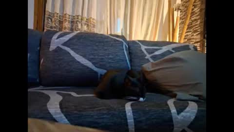 p326032 online show from November 3, 8:54 pm