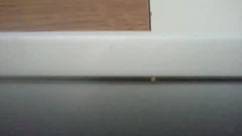 p9plot online show from March 29, 3:01 pm