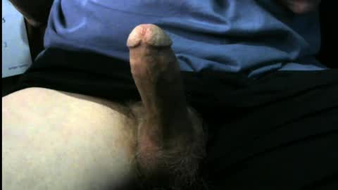 paleale4jp1 online show from April 1, 2:03 pm