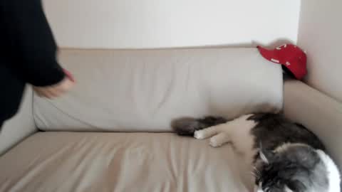  -- New Videos Down Below online show from December 3, 2:01 am