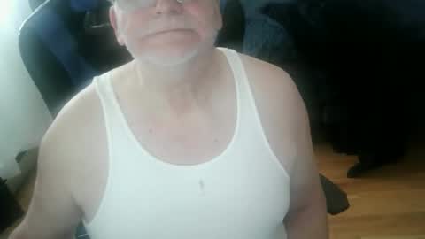 papilly online show from April 12, 12:28 pm